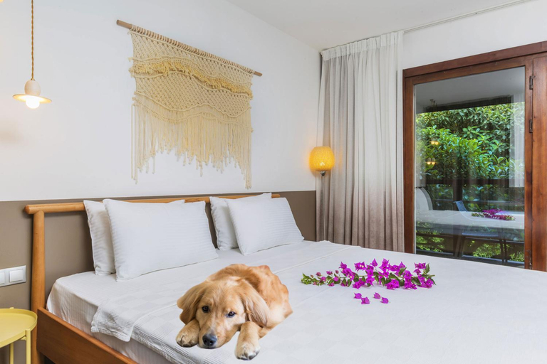 Bedroom 3, Faros Hotel Bodrum, Bodrum
