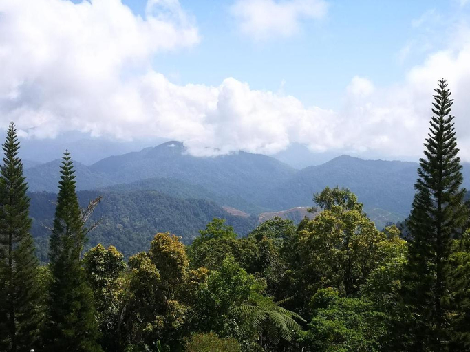 Others 4, The Hill at Fraser Hill, Raub