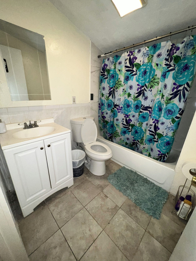 Bathroom 5, 184 Heath St, Boston