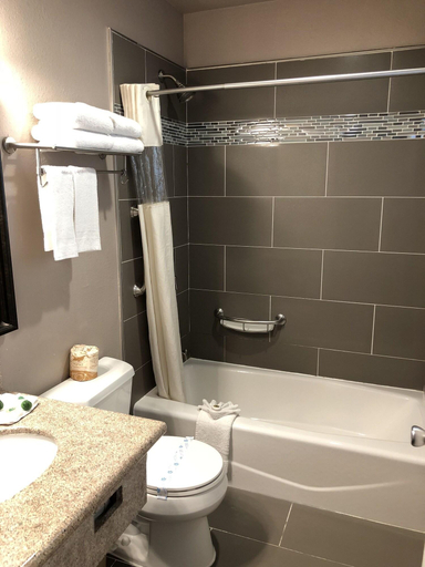 Bathroom 3, Alamo Inn And Suites Convention Center, Orange