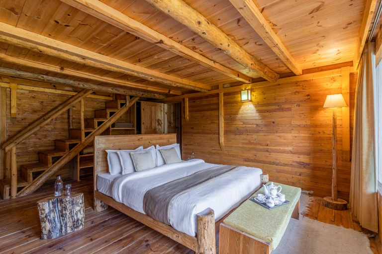 Bedroom 2, ELIVAAS 4 BHK with Garden & Sauna - Skylounge, Shimla