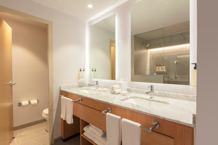 Bathroom 2, Hilton Garden Inn Guadalajara Airport, Tlajomulco de Zúñiga