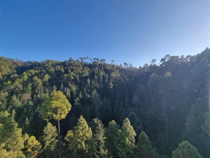 Others 4, Goroomgo Stay Well Chamba Dalhousie, Chamba