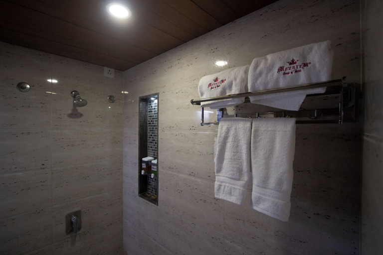 Bathroom, Monarch Express, Pune