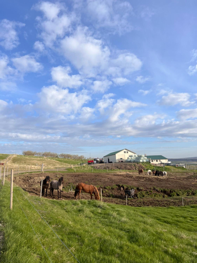 Others 3, Stora-Asgeirsa Horse Farm Stay, Húnaþing vestra