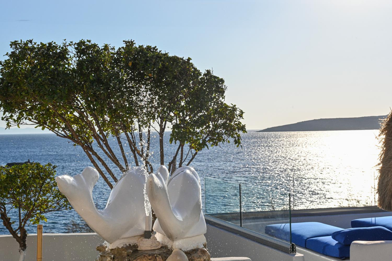 Sport & Beauty 2, VETUS PORTUM SUITES TINOs, South Aegean