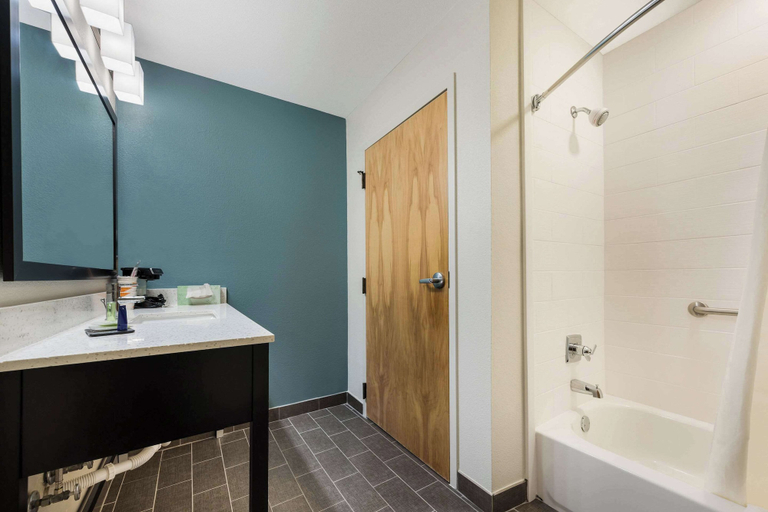 Bathroom 4, Sleep Inn & Suites Cullman I-65 exit 310, Cullman