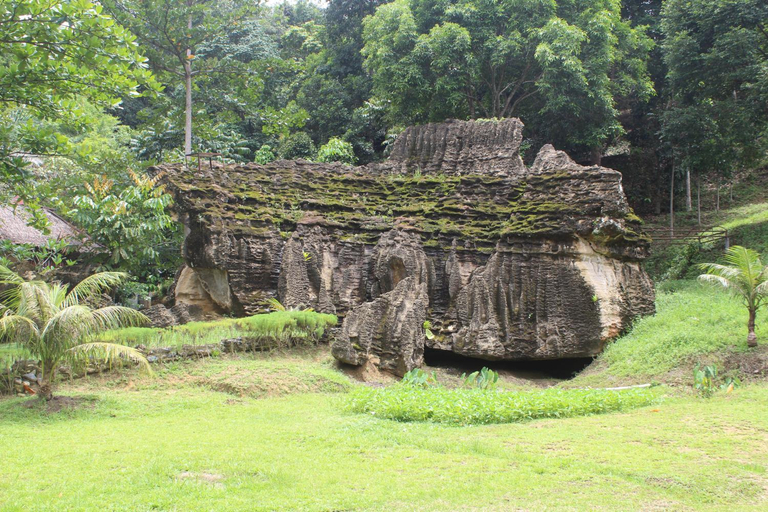 Others 4, Green View Guest House only treking with US, Langkat