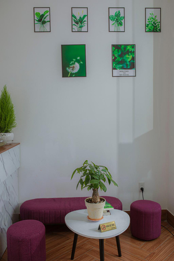 Public Area 2, Thu Le Hotel Da Lat, Đà Lạt