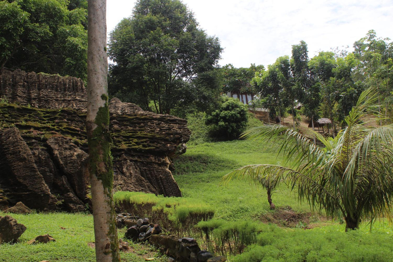 Others 2, Green View Guest House only treking with US, Langkat