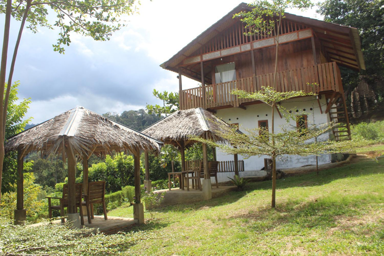 Others 3, Green View Guest House only treking with US, Langkat