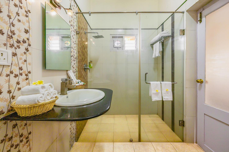 Bathroom 4, Vijayshree Resorts, Hampi, Bellary