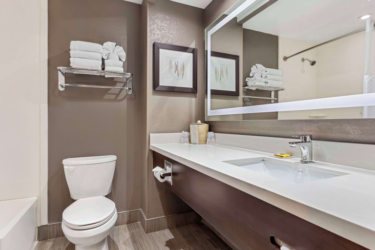 Bathroom 4, Best Western Plus Executive Inn Scarborough, Toronto