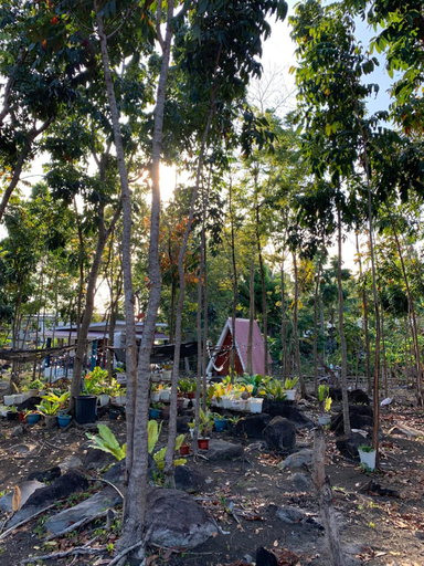 Others 5, KING ODIN'S AHOUSE, Catarman