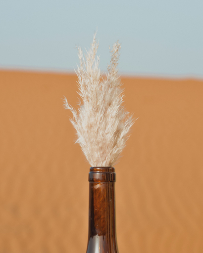 Food & Drinks 4, Bohem Camp Merzouga, Errachidia