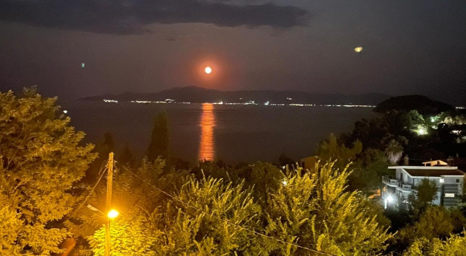 Others 2, Olivia -Ελια, East Macedonia and Thrace