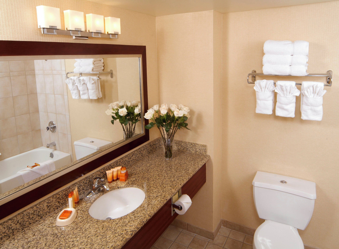 Bathroom 3, Boulder Station Hotel and Casino, Clark