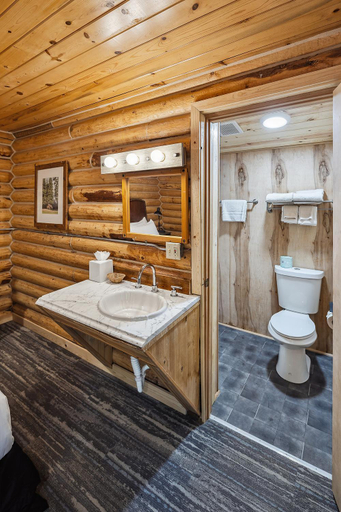 Bathroom 4, Denali Crow's Nest, Denali