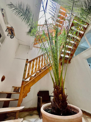 Others 2, Riad Dar Zayna & Spa, Essaouira