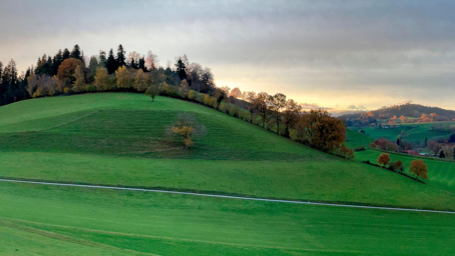 Others 4, Berghof Erlebnis AG, Willisau