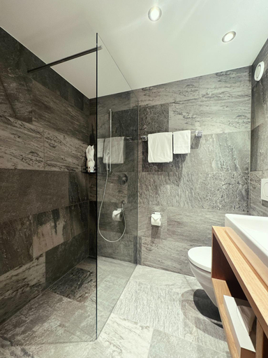 Bathroom 5, Hotel Panorama, Oberhasli
