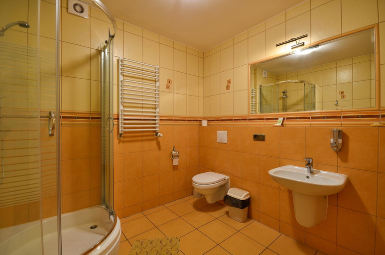 Bathroom, Gosciniec Wodzislawski, Wodzisław