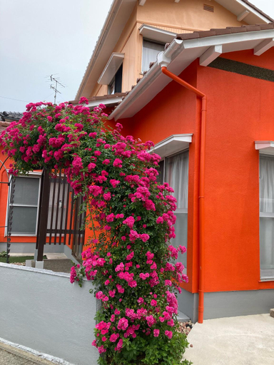 Others 3, SIBARIAN GUEST HOUSE, Kaga