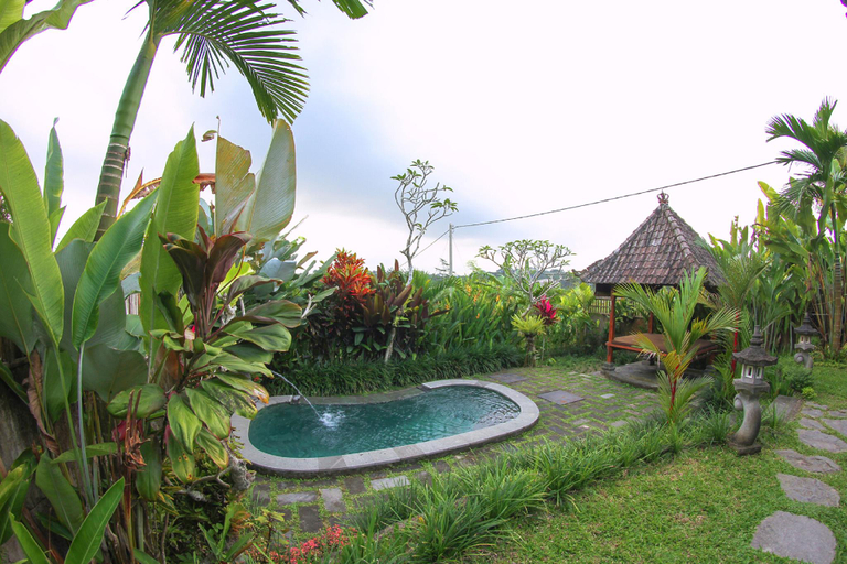 Sport & Beauty 4, Belvilla Moksha Ceking Rice TerraceNearUbud Jungle Swing, Gianyar