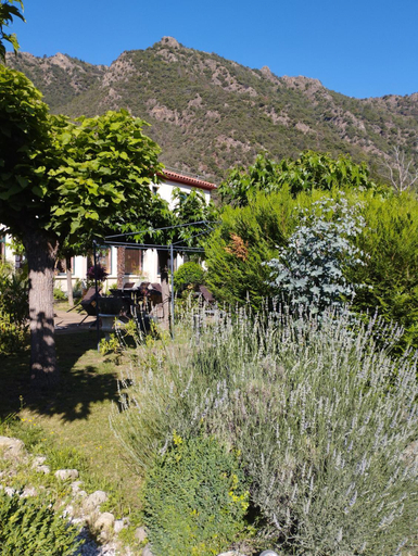 Others 3, St Martin du canigou Chambres et Table d'hotes de charme, Pyrénées-Orientales