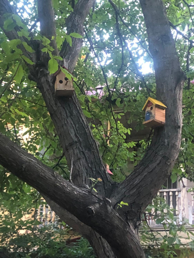 2, Apartment king Erekle 2, Tbilisi
