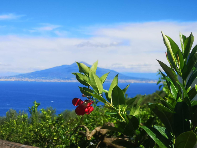Others 5, Blu Vesuvius Sorrento, Napoli