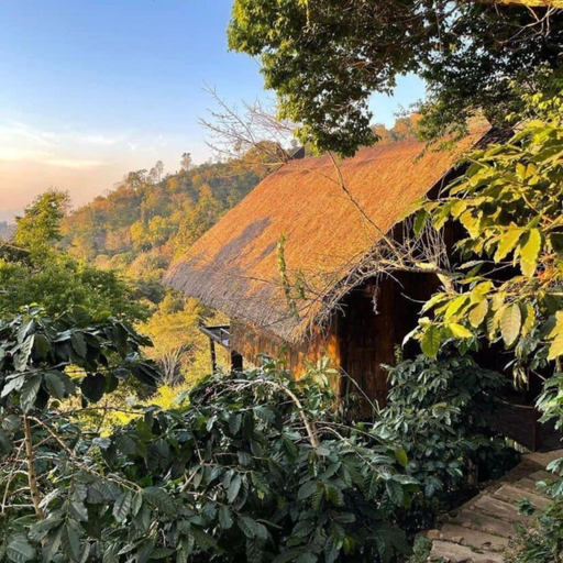 Others 5, The BC2 Doichang, Mae Suai