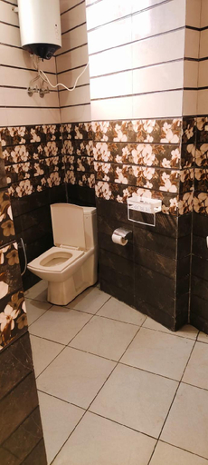 Bathroom 3, Bharat Vandana Stay , Delhi
