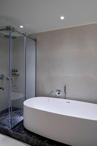 Bathroom 3, Skiathos Princess, Thessaly