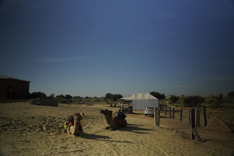 Others 5, Abu Safari, Jaisalmer