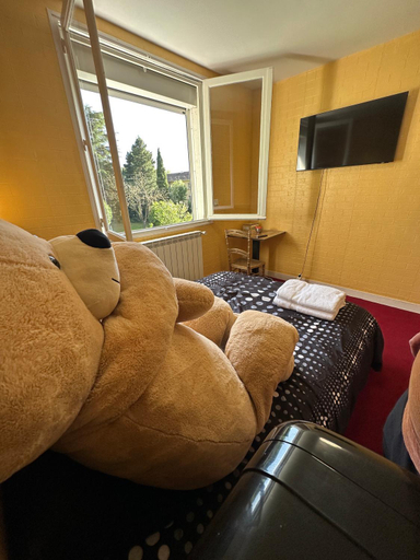Others 4, Le Tapis Rouge Chambre Privative au Stade Pierre Fabre, Tarn