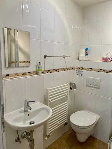 Bathroom 2, Haus Salzkristall, Gmunden