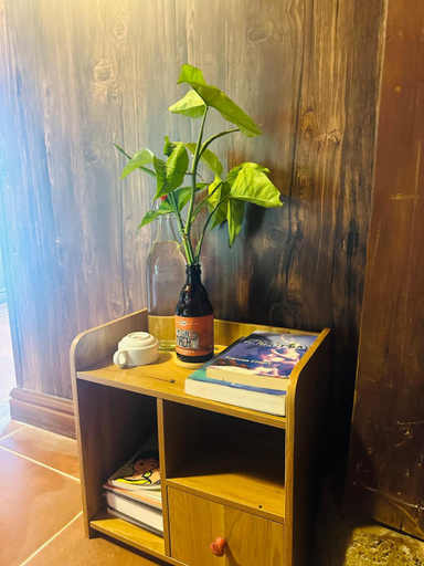 Others 4, Wild Orchid- Lan Home, Yên Minh