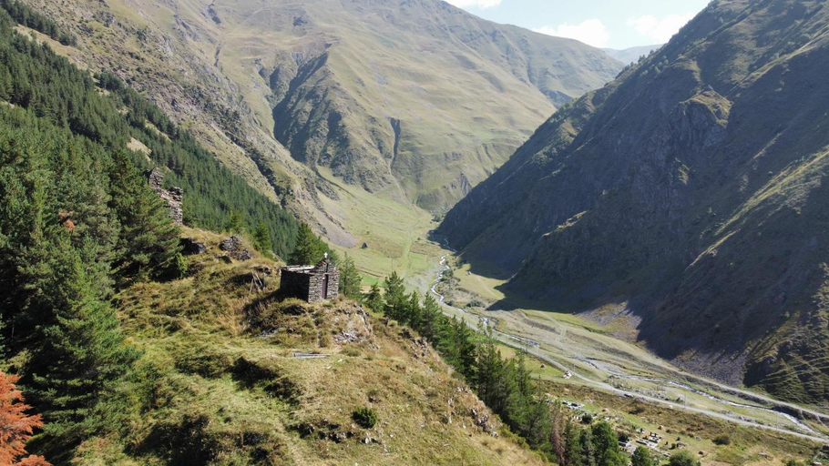 Others 4, Sno Woodland, Kazbegi