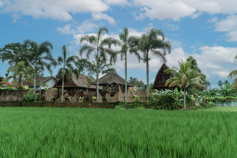 Exterior & Views 5, Umadesa Villa Tegallalang, Gianyar