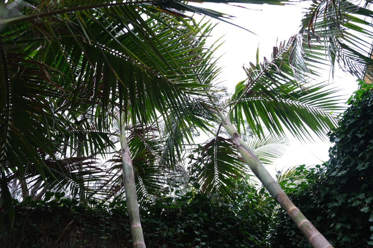 Scenery 16