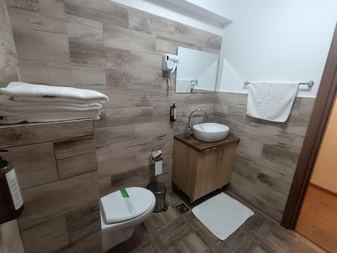 Bathroom 5, Conacul Radacinilor, Petrila