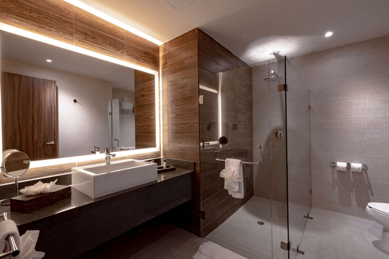 Bathroom 4, Delta Hotels by Marriott Riviera Veracruz, Boca del Río