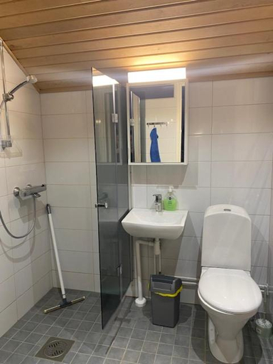 Bathroom 4, Amman Hotelli, Kainuu