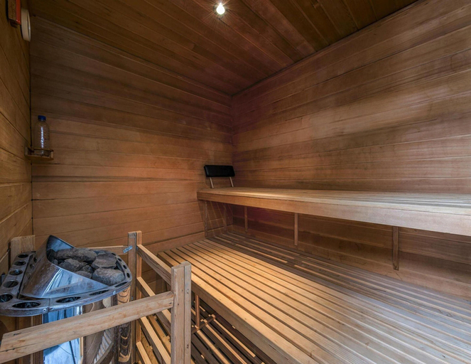 Sauna, Doppelhaushalfte, Friedrichskoog-spitze, Dithmarschen