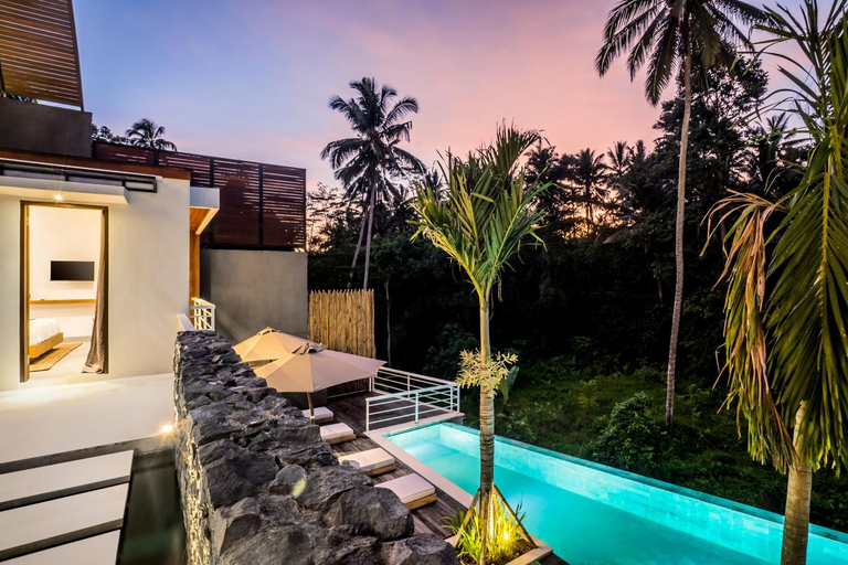 Swimming Pool 14