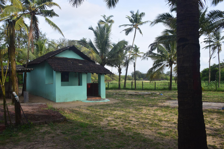 Others 5, Castellos CoCo Huts adjacent to Benaulim Beach, South Goa