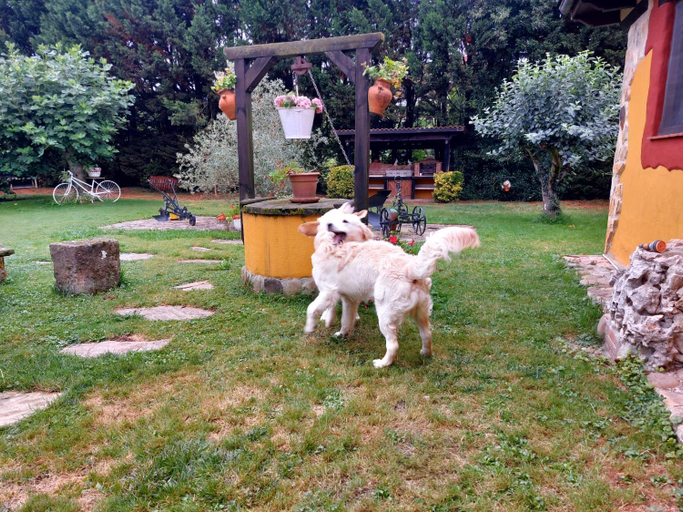 Others 5, Hotel Rural Rumoroso, Cantabria