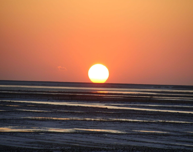 View from property 5, Ferienwohnung in St. Peter-ording, Nordfriesland