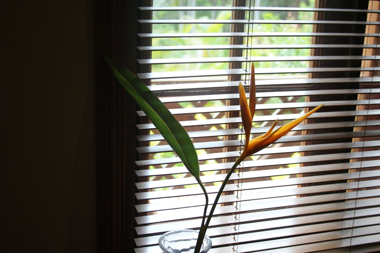 Bathroom 3, Sunshine Valley Cottages, Maroochy - Paynter-Petrie Creek